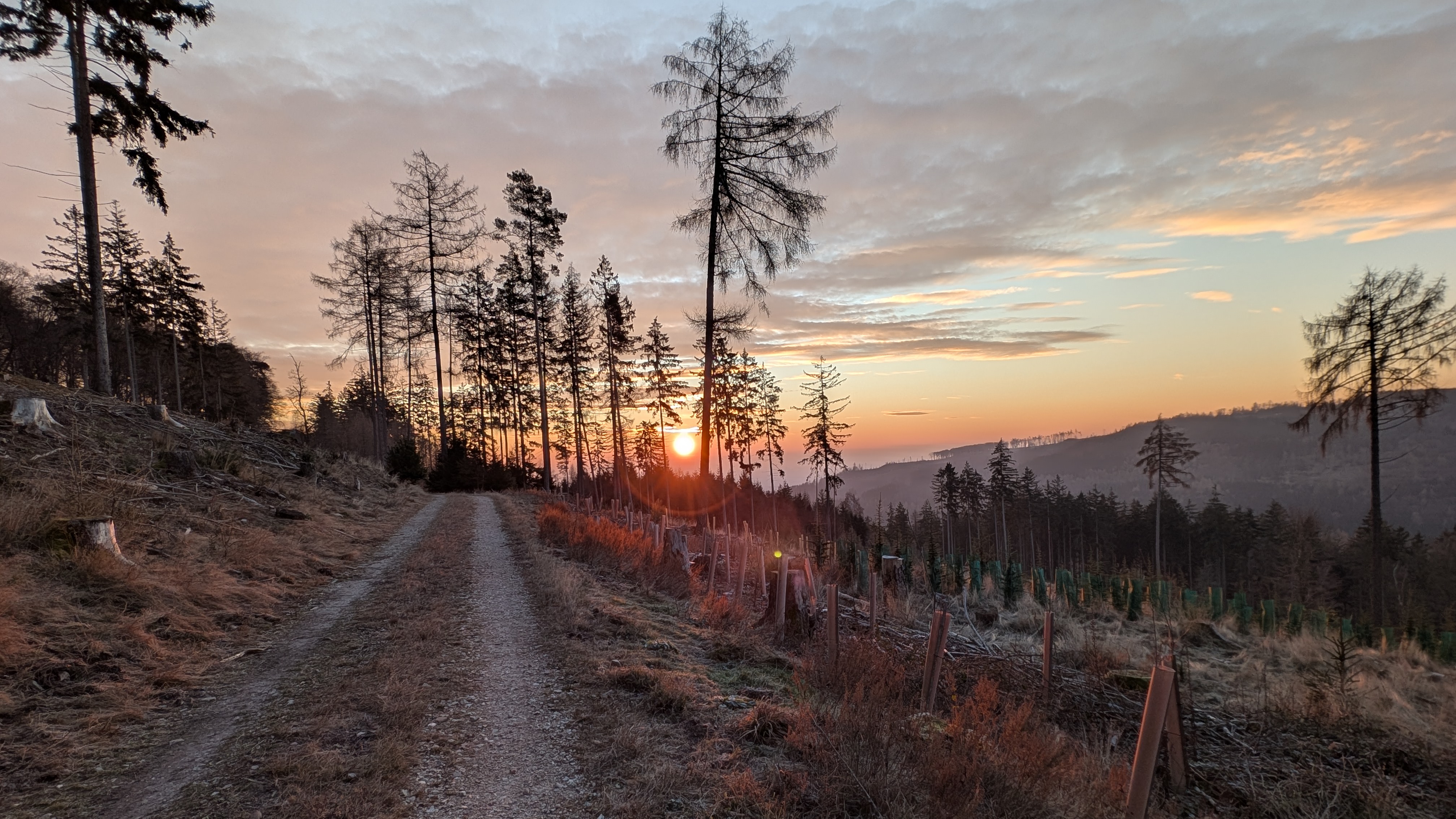 Tag 2 - Taunustaler Xmas Höhenmeter Battle