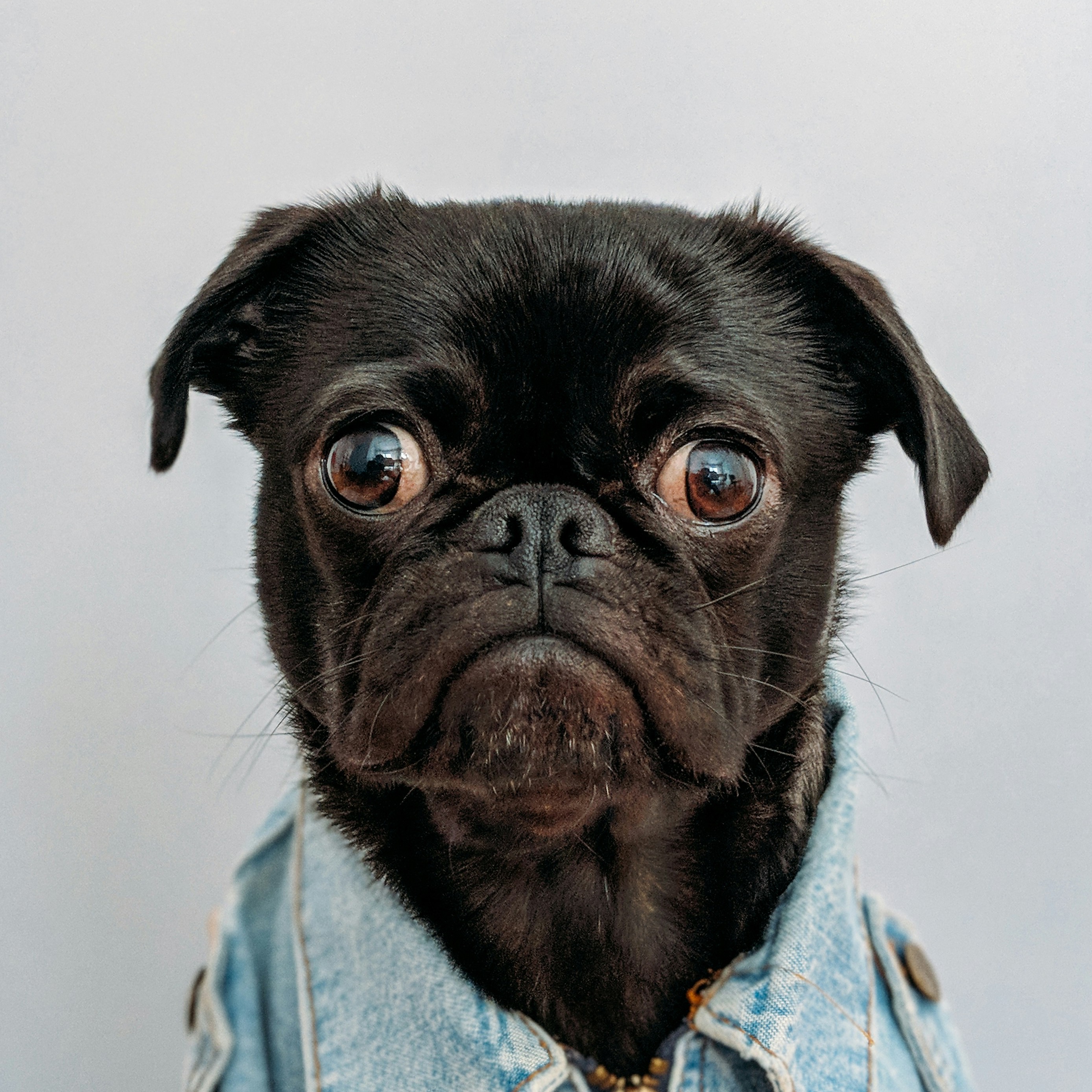 Irgendwie funktioniert es bei mir nicht. Bin verwirrt. 