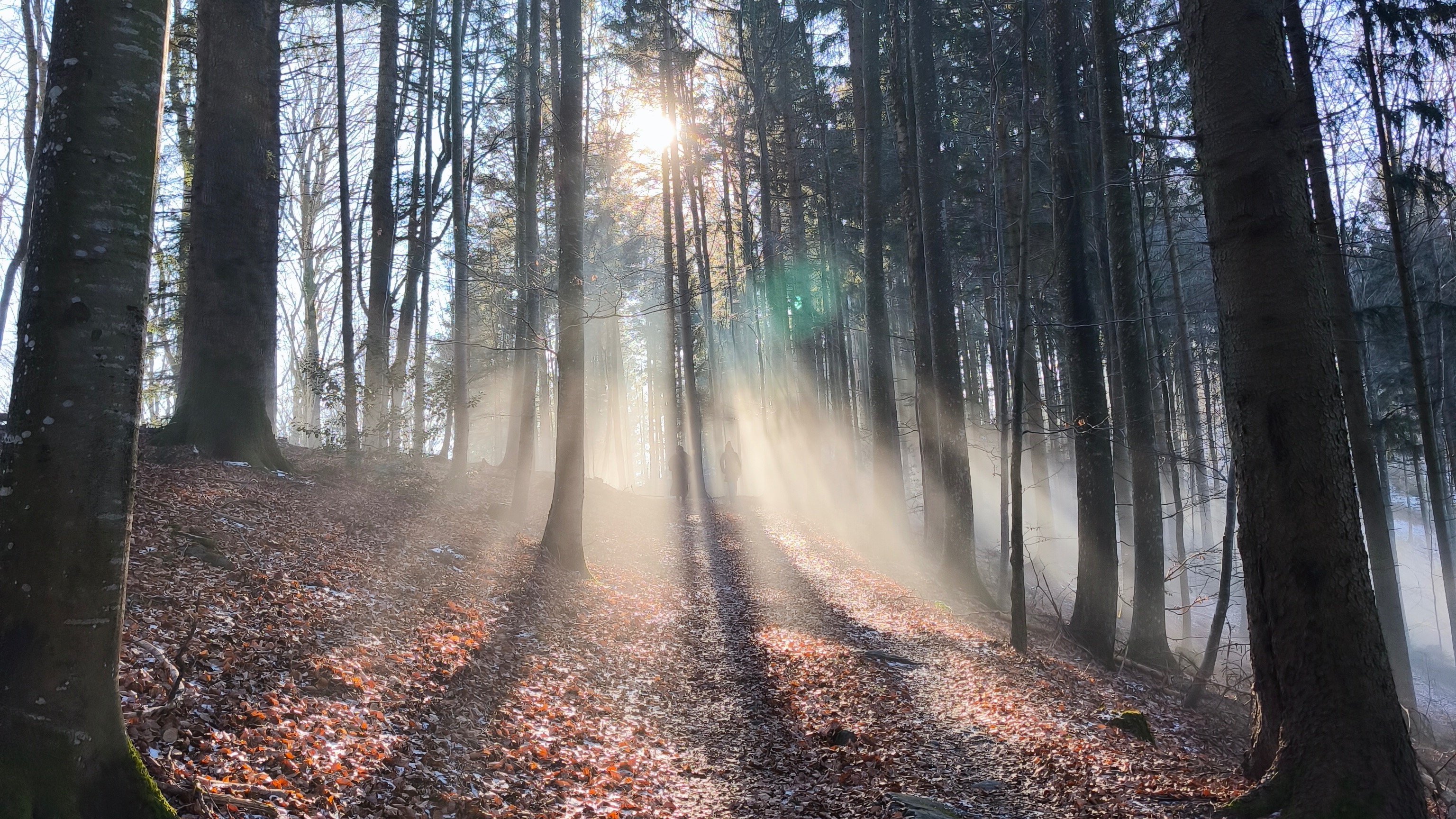 Tag 5 - Taunustaler Xmas Höhenmeter Battle 